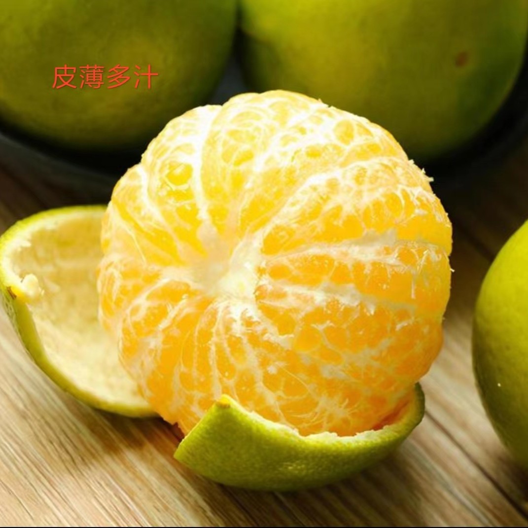 广西皇帝柑农家生态种植9甜1酸 皮薄多汁 清甜爽口