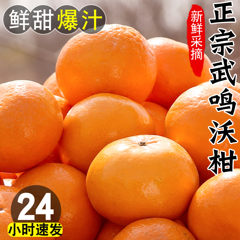 正宗广西武鸣沃柑 3斤 5斤 9斤 新鲜 应季水果 现摘先发 酸甜多汁