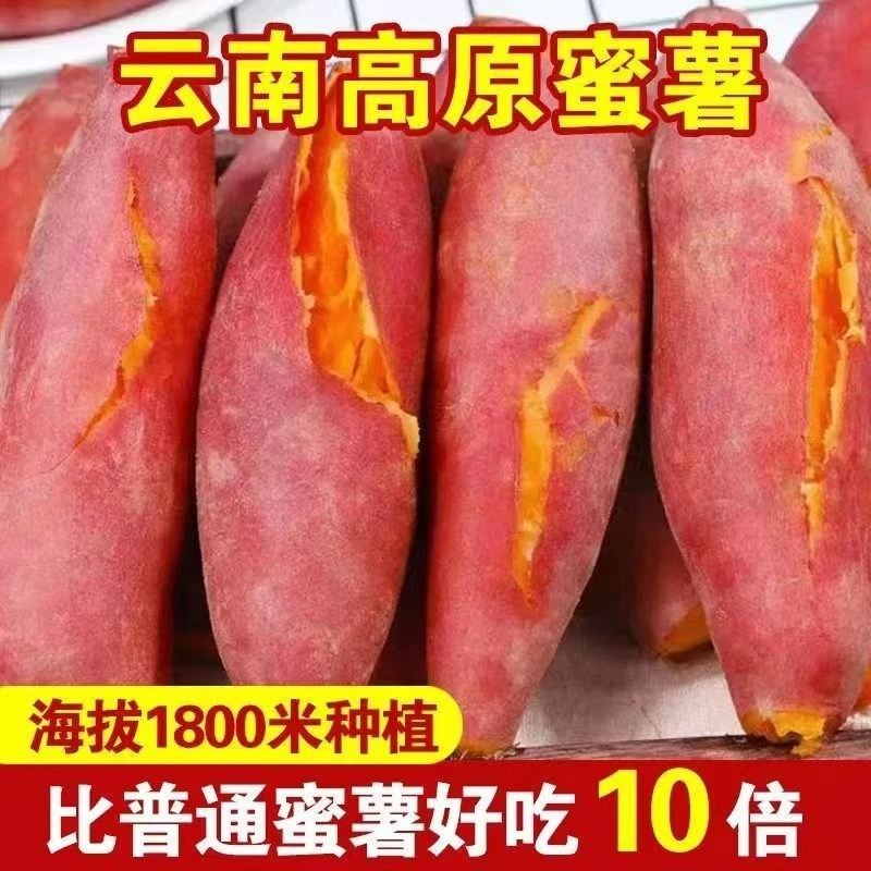 云南特产云南黄金蜜薯西瓜红高原蜜蜜薯软糯香甜个小3/5/9斤净重