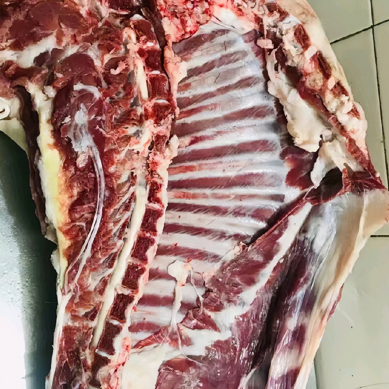 崇明本地草羊肉农家喂养