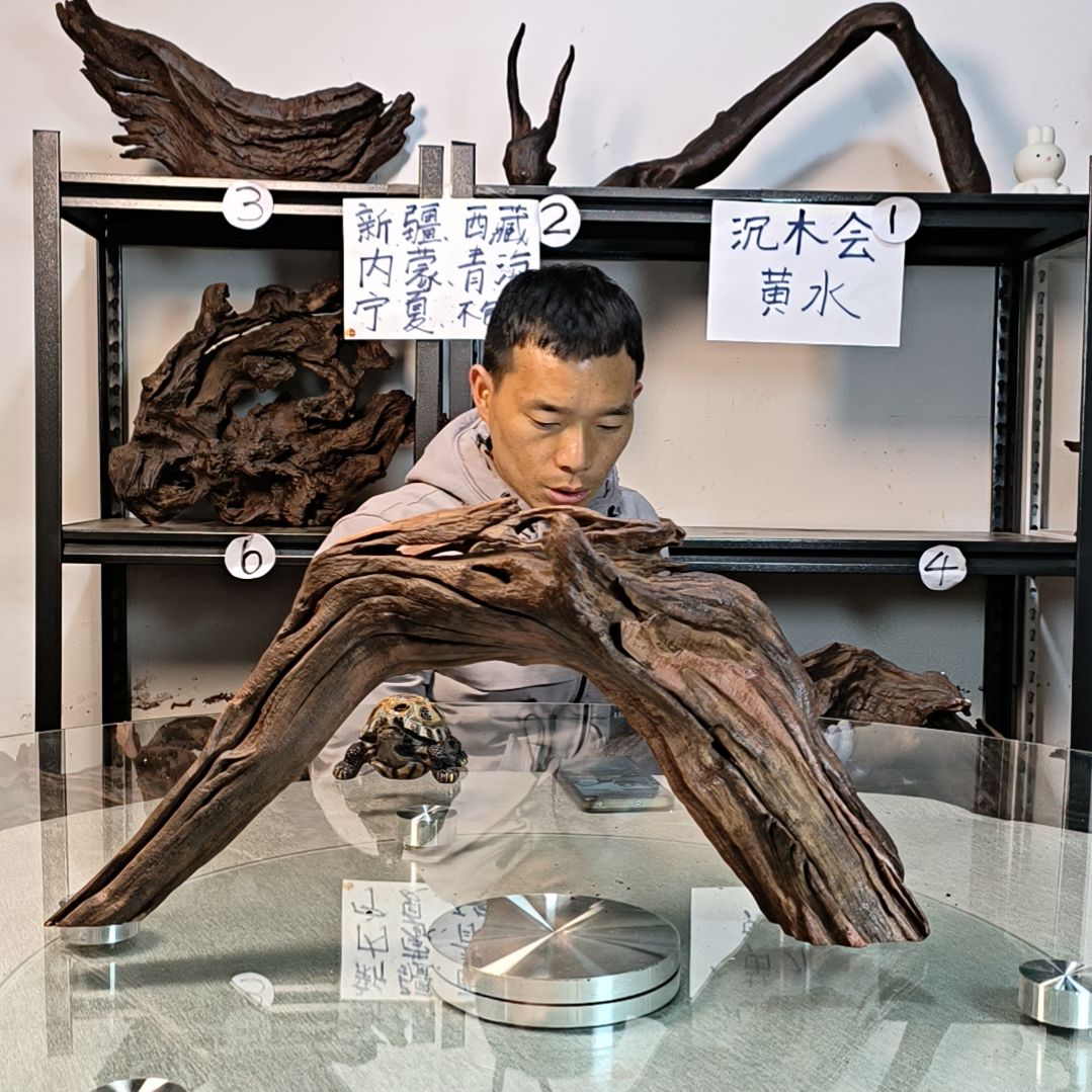 【闪购商品】A8度***舟
