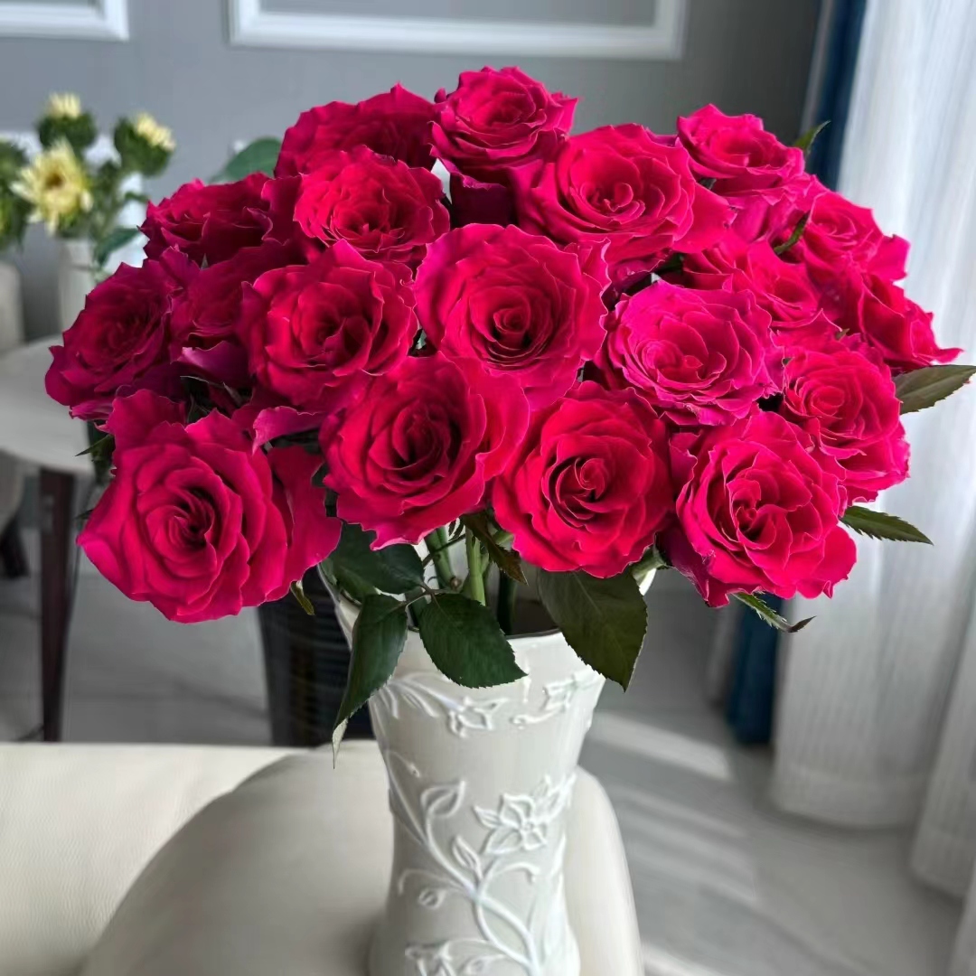 【高盛】全场任意两单顺丰冷链包邮，0度以下必拍保温棉！