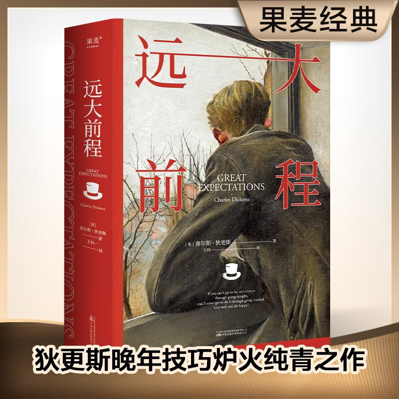 远大前程 狄更斯 豆瓣9.1分王科一译本 英国小说百强 名著