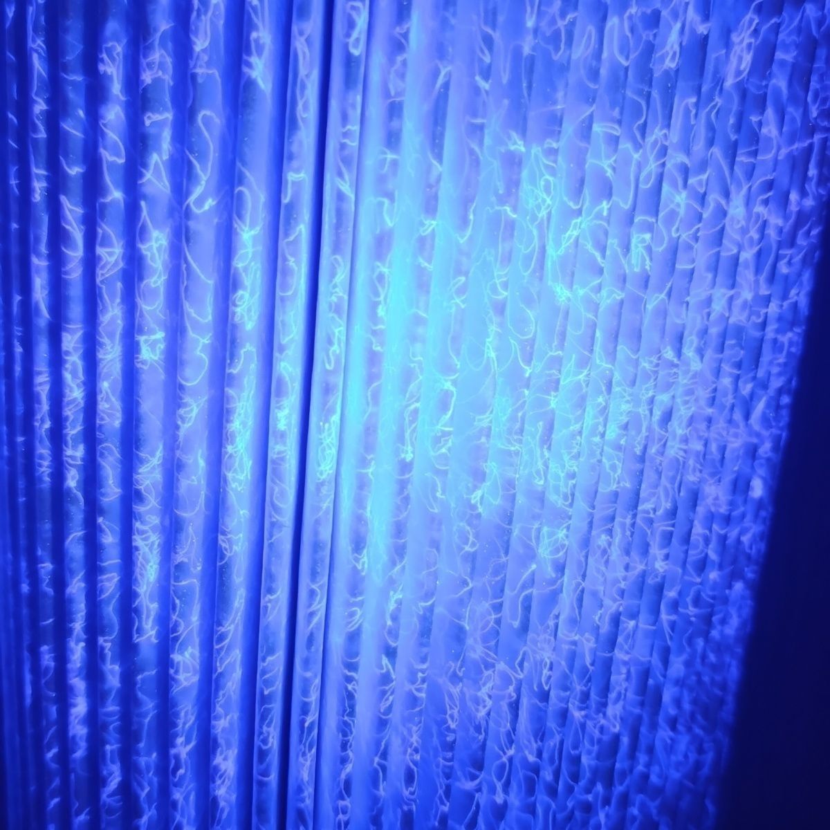 一汽解放J6/J6P/JH6/J7亿利大炮油水分离柴滤1105050-2007旗舰版