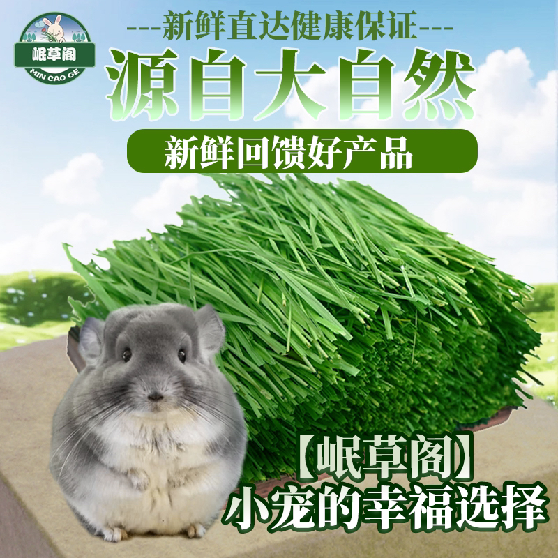 【精致兔妈必备】25年烘干提摩西草北提兔兔荷兰猪龙猫饲料兔粮干草