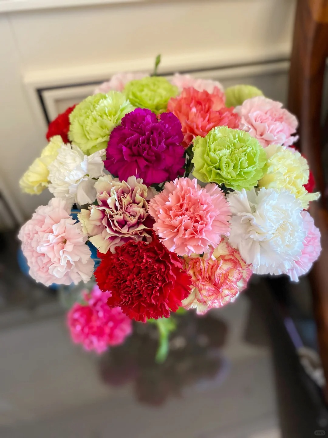 【有雲】单头康-混色1扎/20枝  任意两单包邮 发货后不支持退款