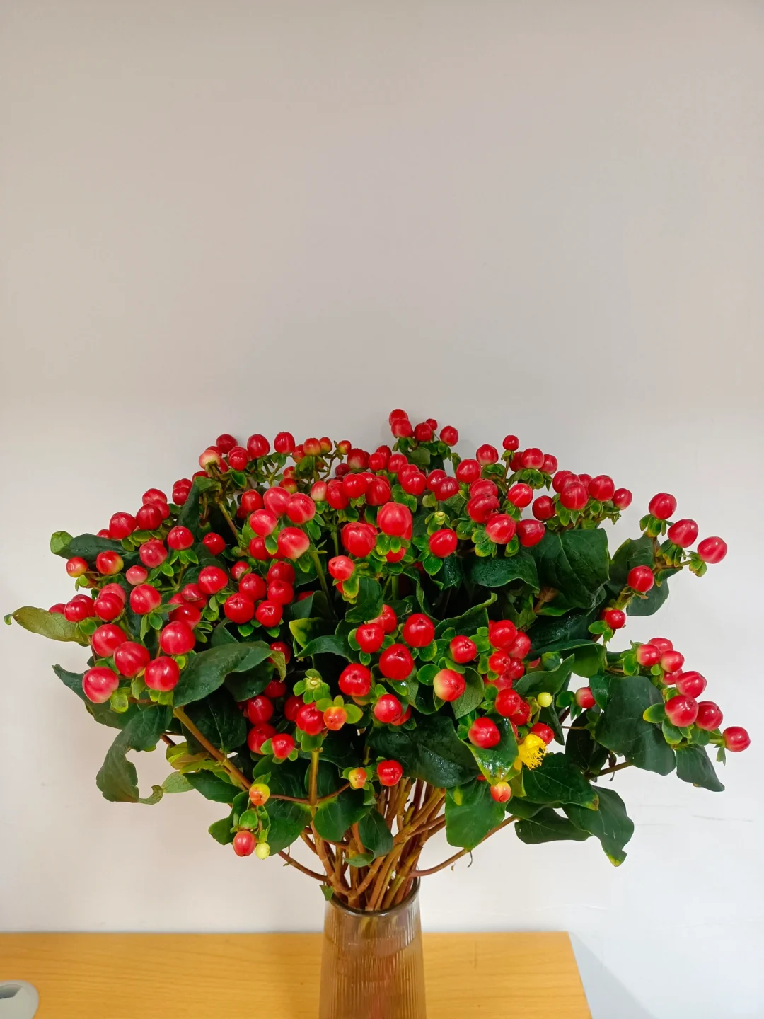 【有雲】红豆   任意两单包邮 发货后不支持退款