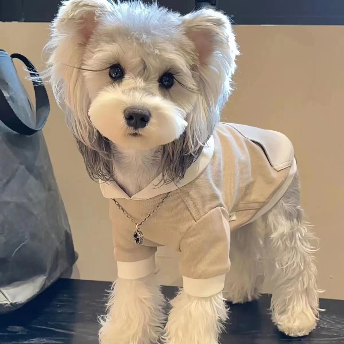 秋冬新款狗狗衣服加厚保暖法斗雪纳瑞比熊泰迪柴犬猫咪卫衣外套