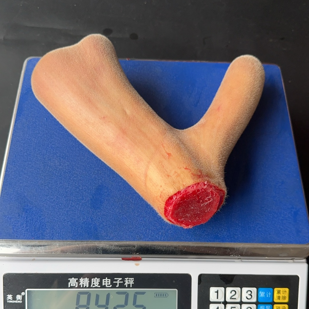 【丹丹专属】吉林鹿乡产地直发鲜鹿茸整枝 直播称重选购