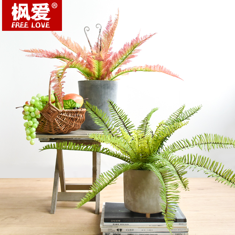 仿真波斯叶蕨类绿植大叶子类植物墙体小顿草网红假花树叶墙面装饰