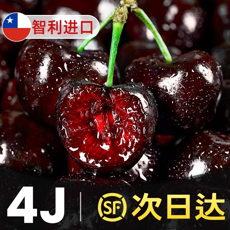 桑提娜 高端品种进口 智利 空运车厘子新鲜水果礼盒1-5斤J-4J香甜