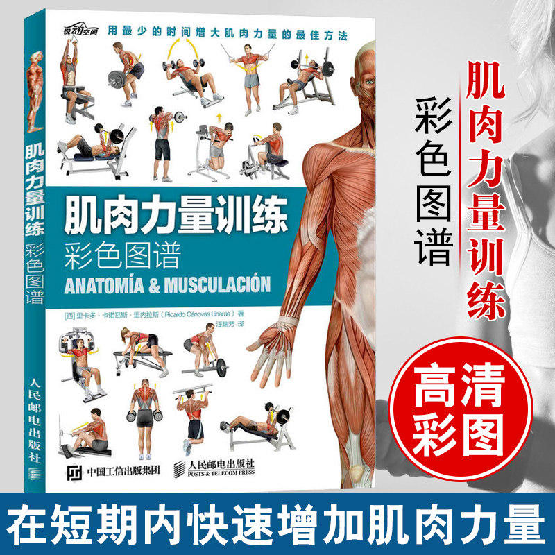 肌肉力量训练 拉伸训练彩色图谱  运动健身肌肉拉伸书籍