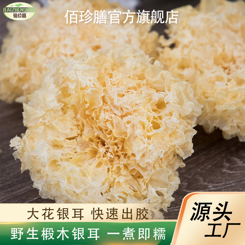 【源头工厂】精选椴木银耳野生糯耳羹快速出胶雪耳农产品烘干天然