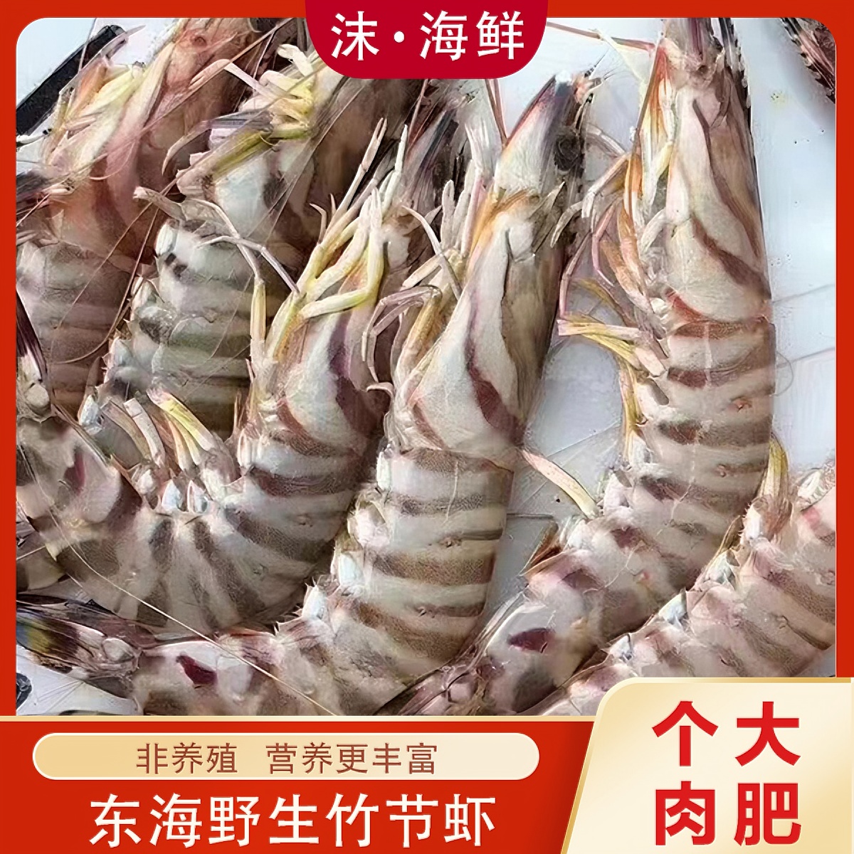 沫海鲜舟山野生新鲜竹节虾九节虾，肉质Q弹一斤4-18只顺丰冷链发货