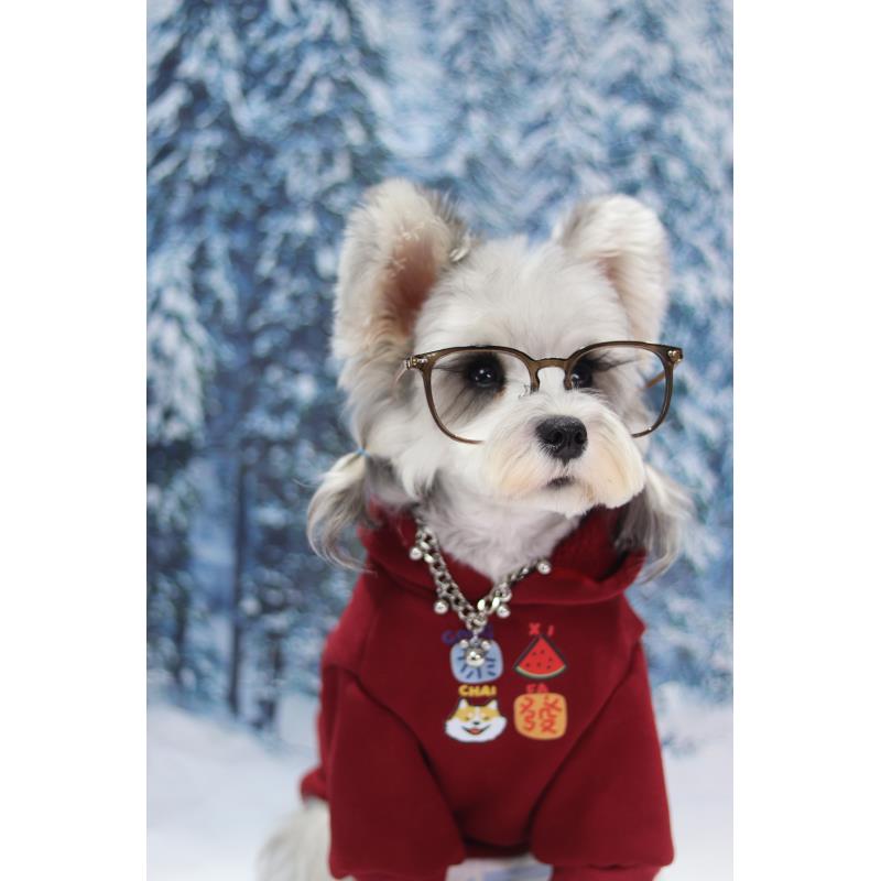 过年装拜年服冬季加绒狗狗新年红色喜庆衣服柴犬柯基中小型犬比熊