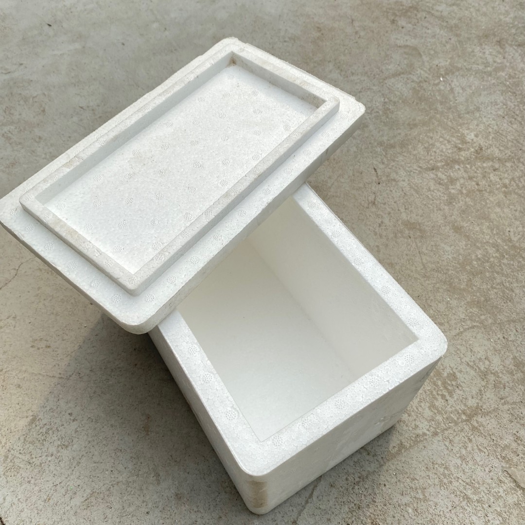 多肉保温箱 低温发货用 加厚款 熊掌柜多肉 保温箱单pai不发