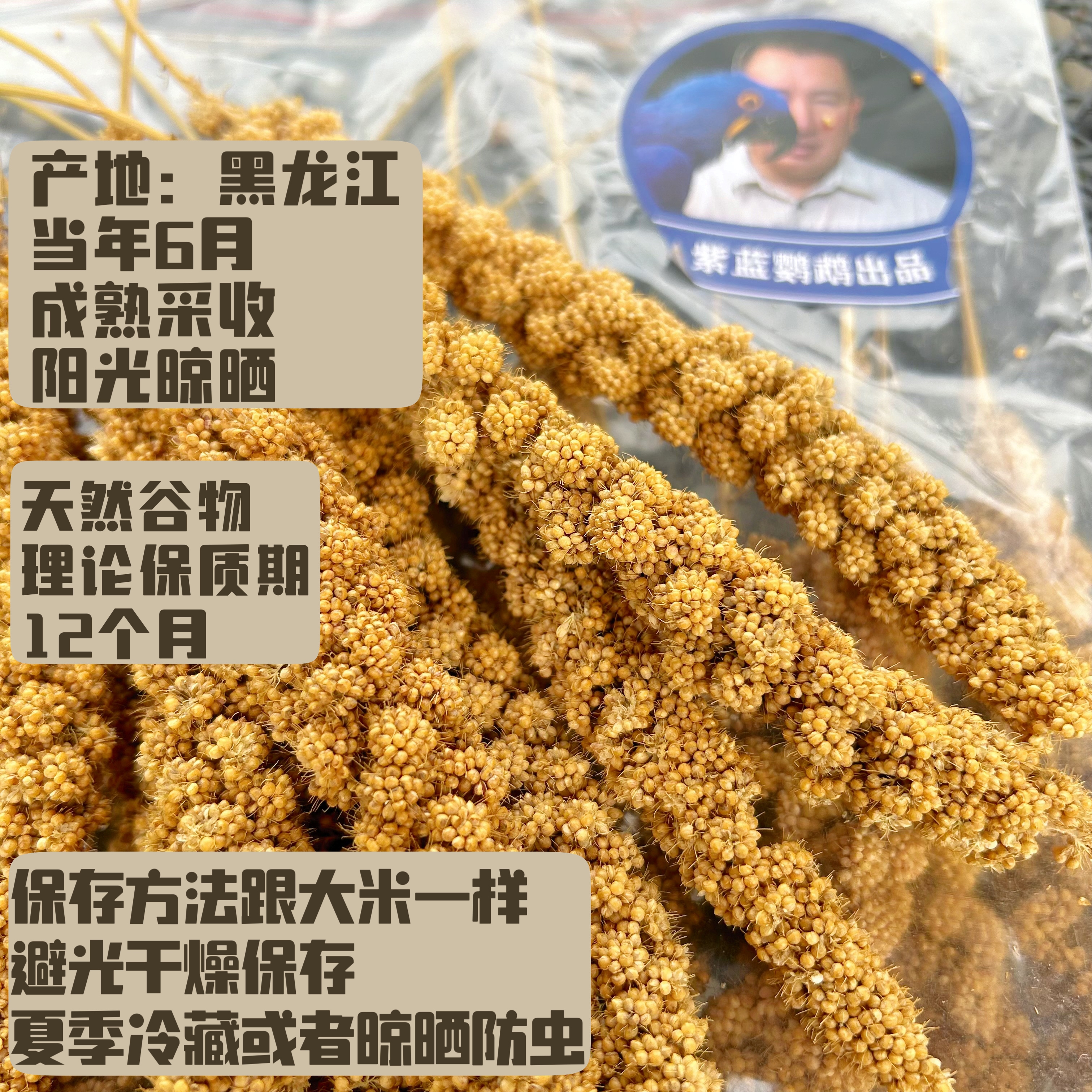 鹦鹉天然新鲜健康谷穗带壳黄谷子牡丹小太鸟类鸟粮啃咬断奶零食
