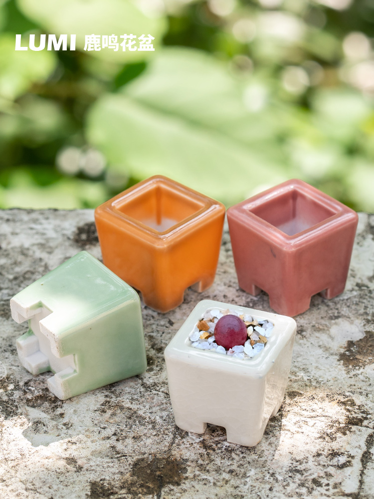 鹿鸣 夏季新品mini小方块生石花肉锥灯泡专用控型多肉拇指花盆