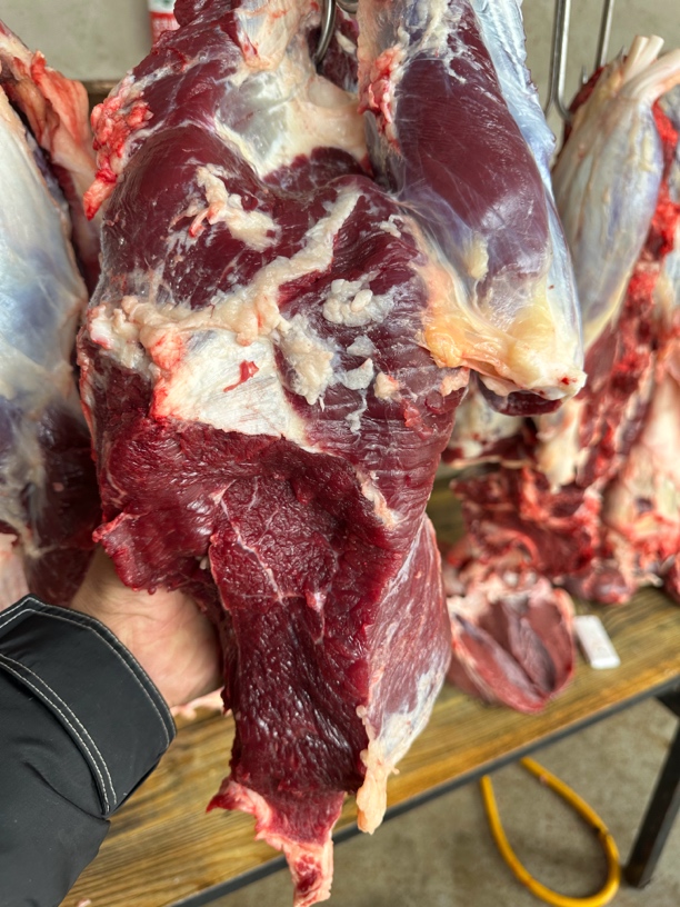 （直播间称重改价）贵州遵义农家土黄牛拍4斤顺丰包邮