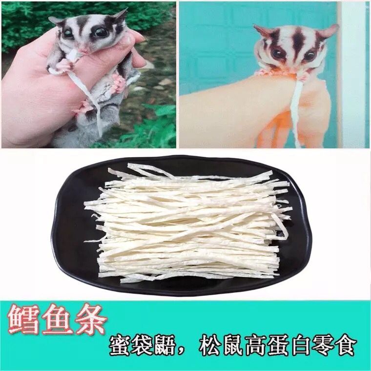 蜜袋鼯零食鳕鱼条宠物仓鼠松鼠花枝鼠飞鼠蜜袋鼬刺猬吃的营养食物