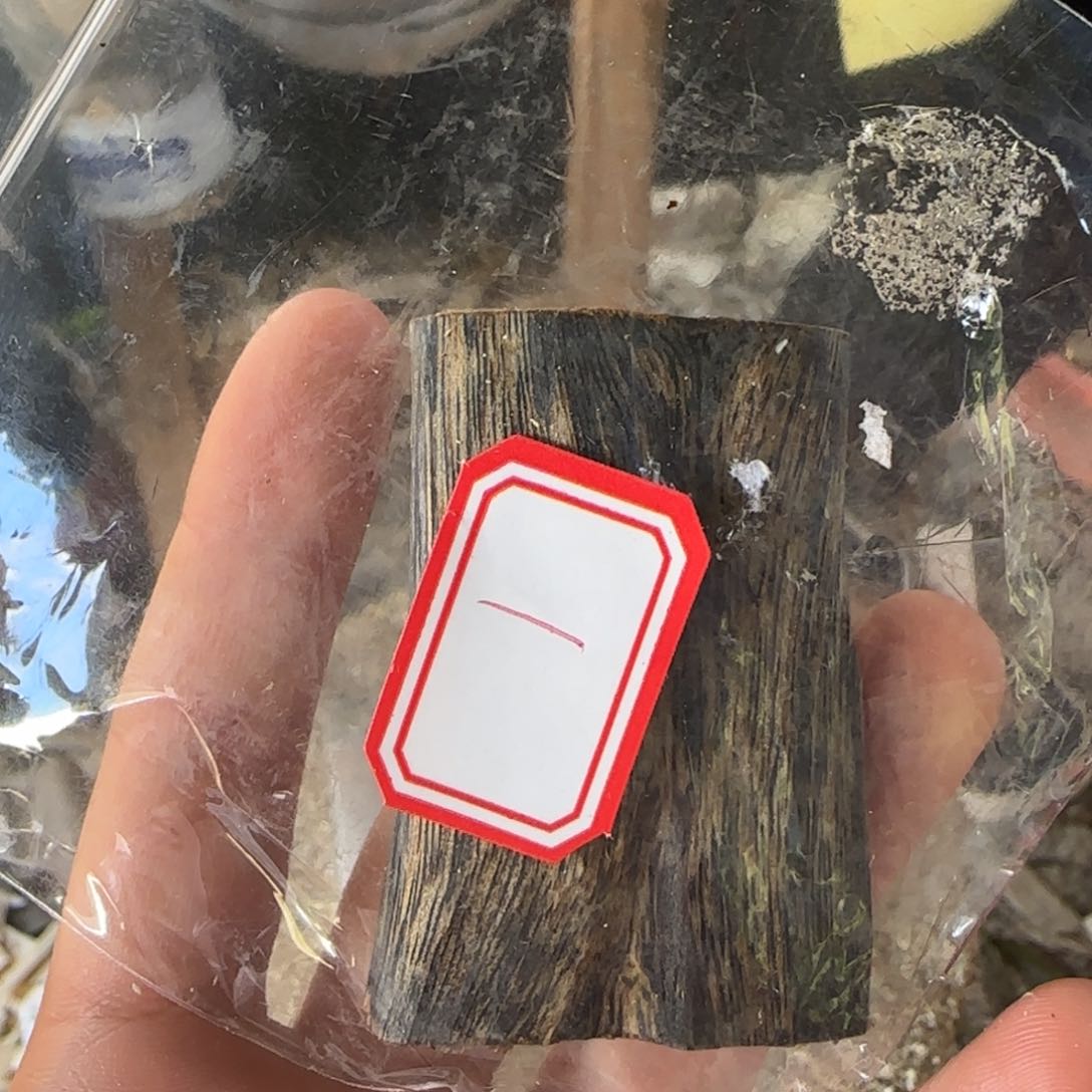 树脂制品成品1奇楠沉香原木牌子一个