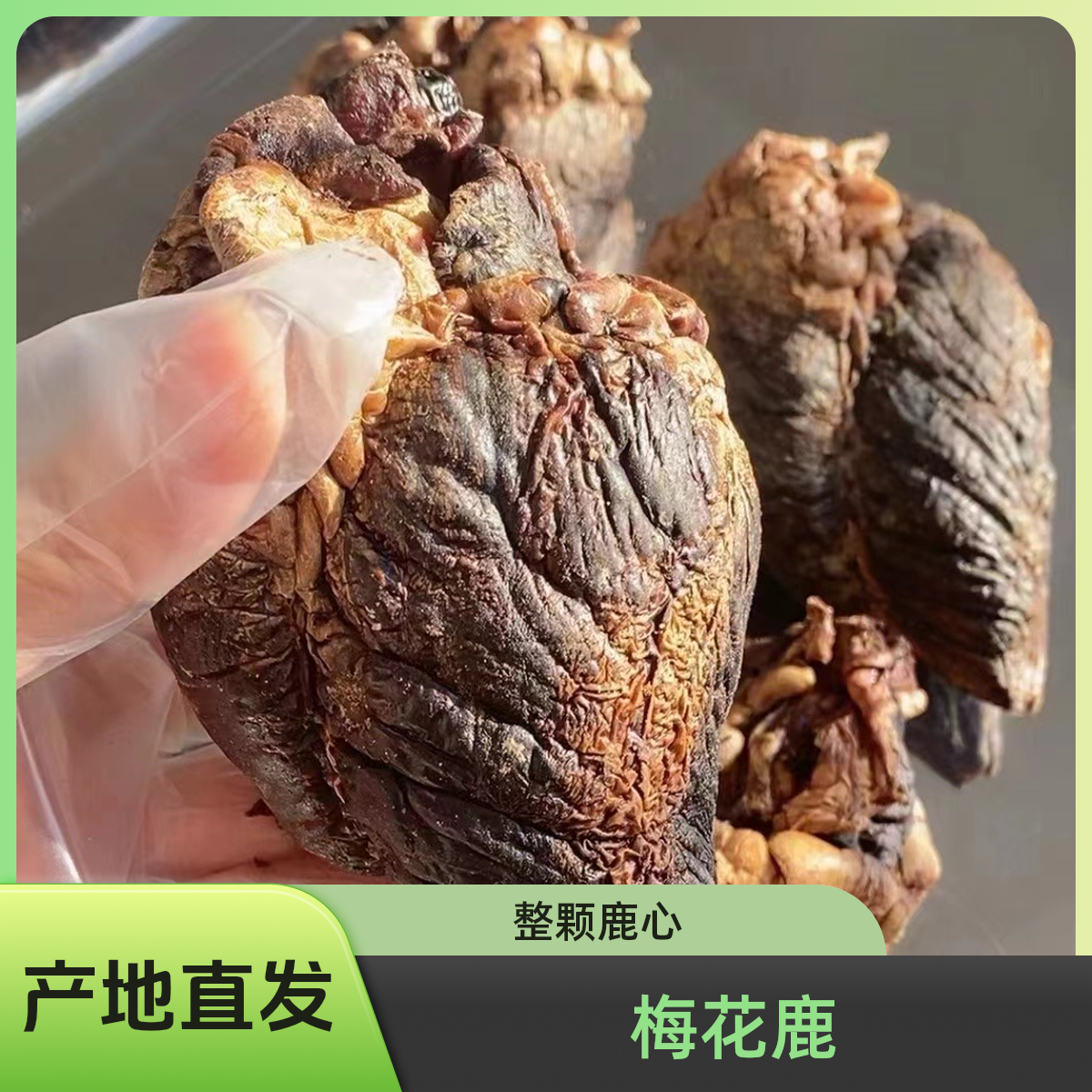 【完整风干梅花鹿鹿心】吉林产地梅花鹿干鹿心整颗鹿心免费打粉