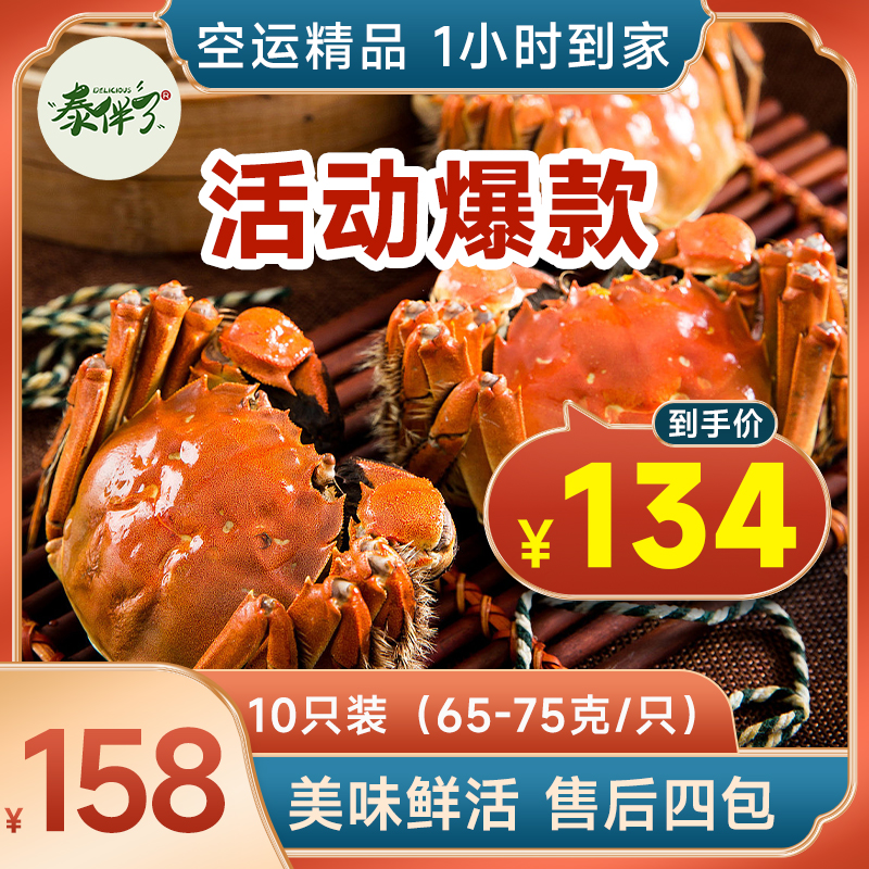 （65g-75g去绳净重）江苏空运精品全母大闸蟹10只