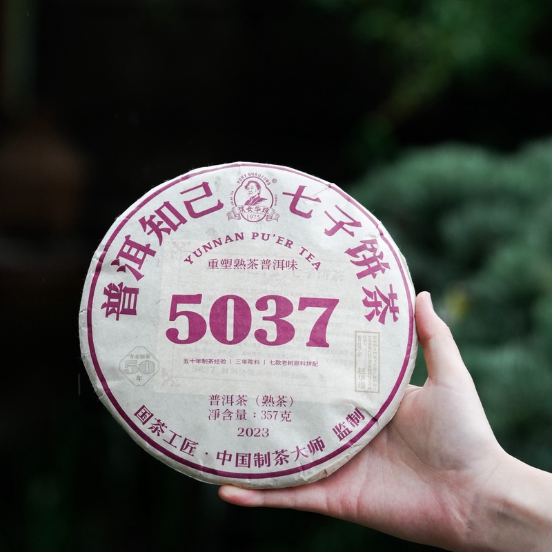 5037普洱熟茶357g
