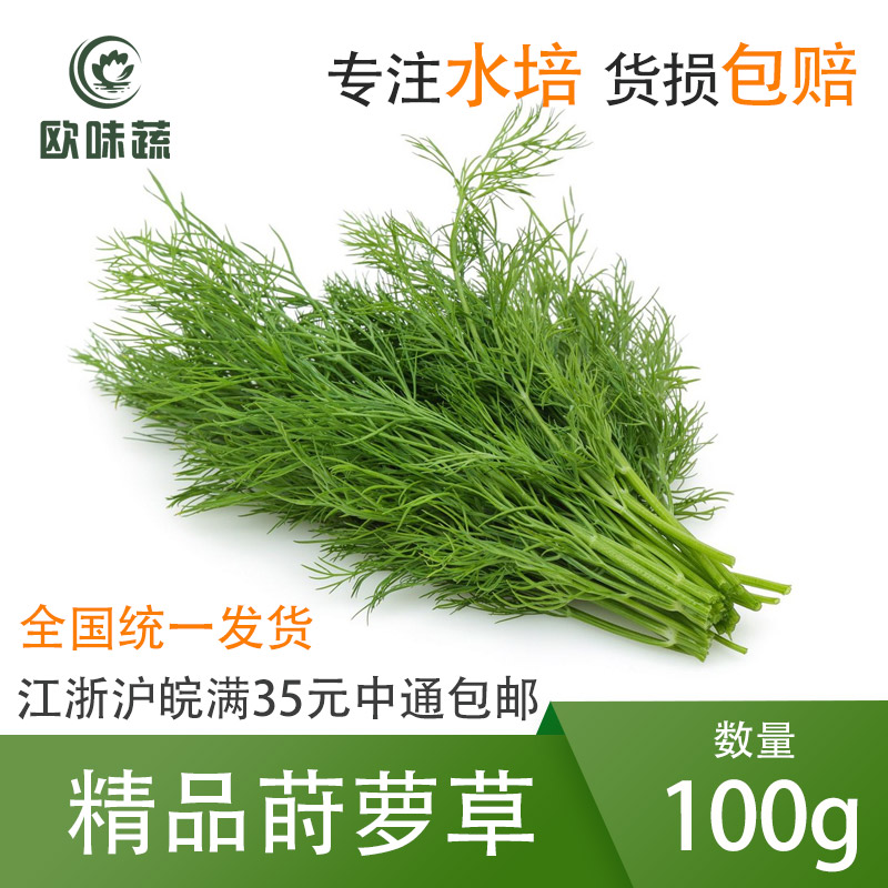 新鲜莳萝草100g 西餐用香料蛋糕鸡尾酒装饰