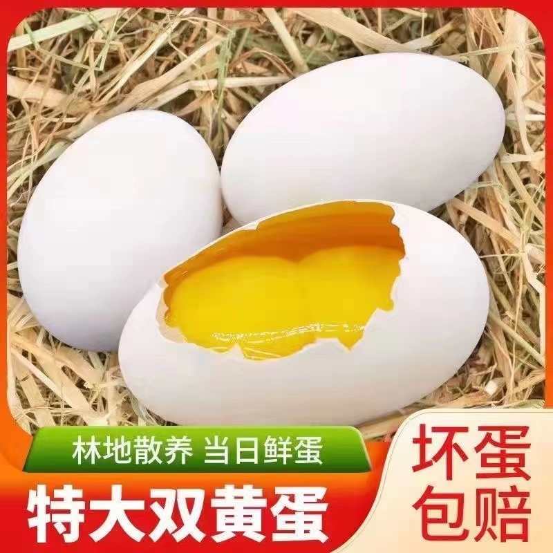 【文小妹】现捡现发新鲜散养双黄鹅蛋一箱12枚单枚重130-160g