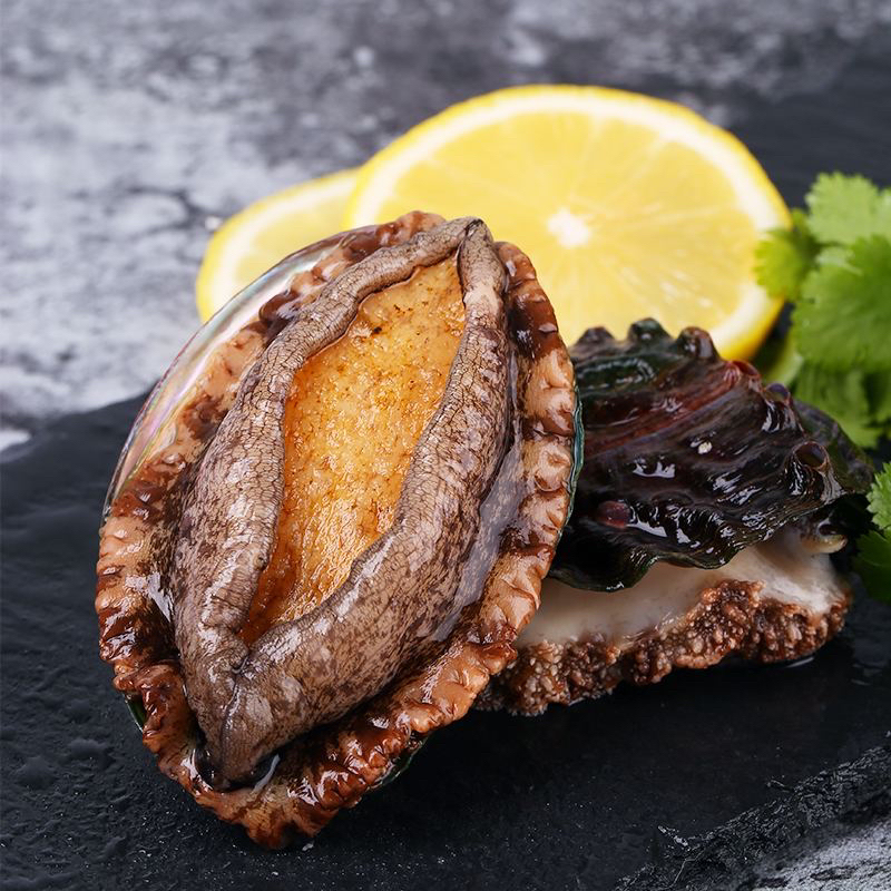 鲍鱼全规格一份包邮