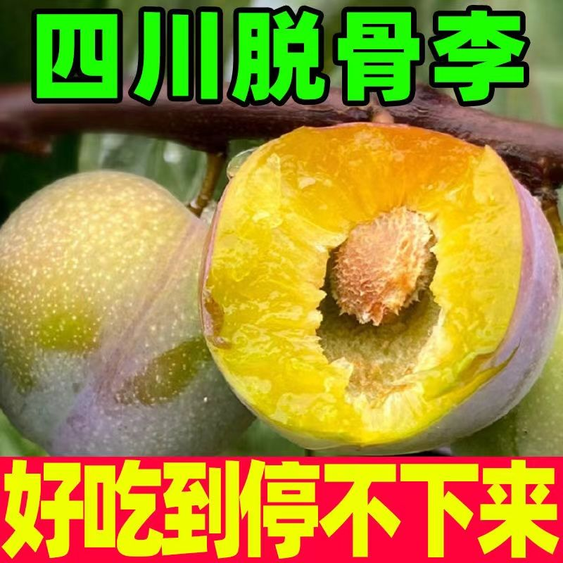 正宗四川脱骨李脆红李当季新鲜半边红李子孕妇水果空心整箱包邮