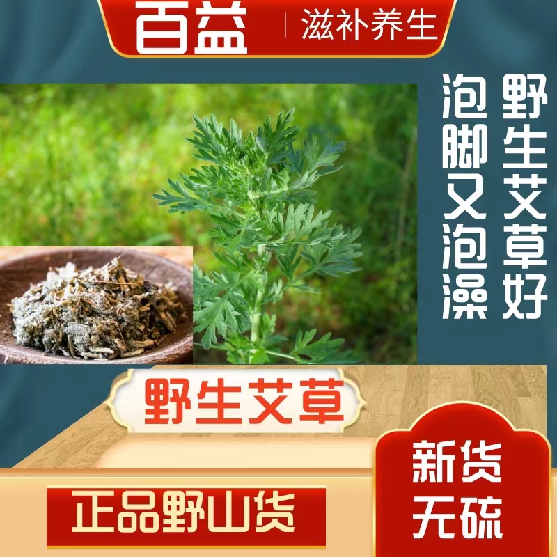 甘肃野生艾叶 大山里采摘非种植  陈艾250g