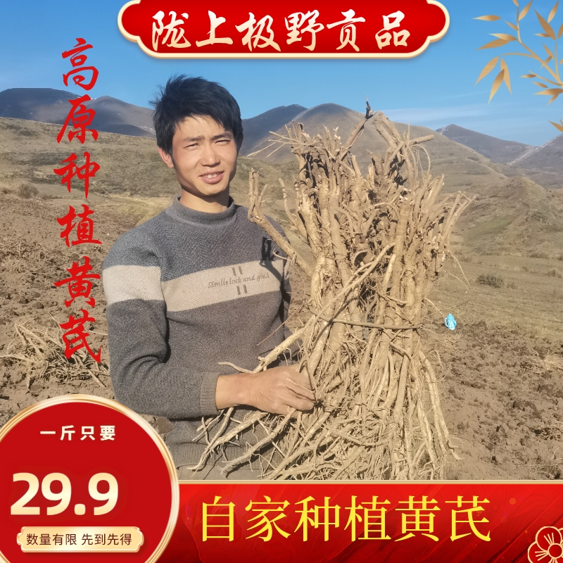 高原农家种植新鲜黄芪500克包邮，无污染高品质