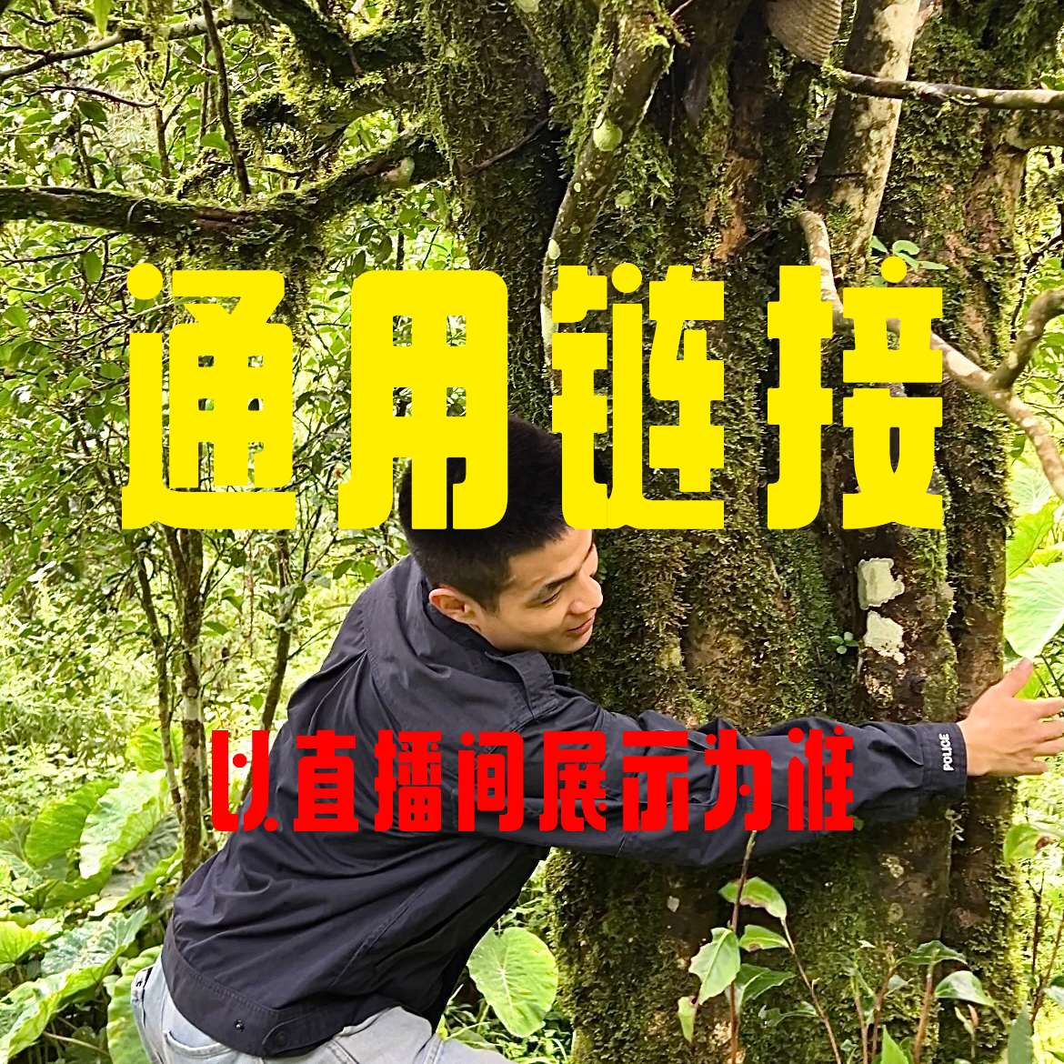 2.阿飞好茶 通用链接 （以直播间展示为主）