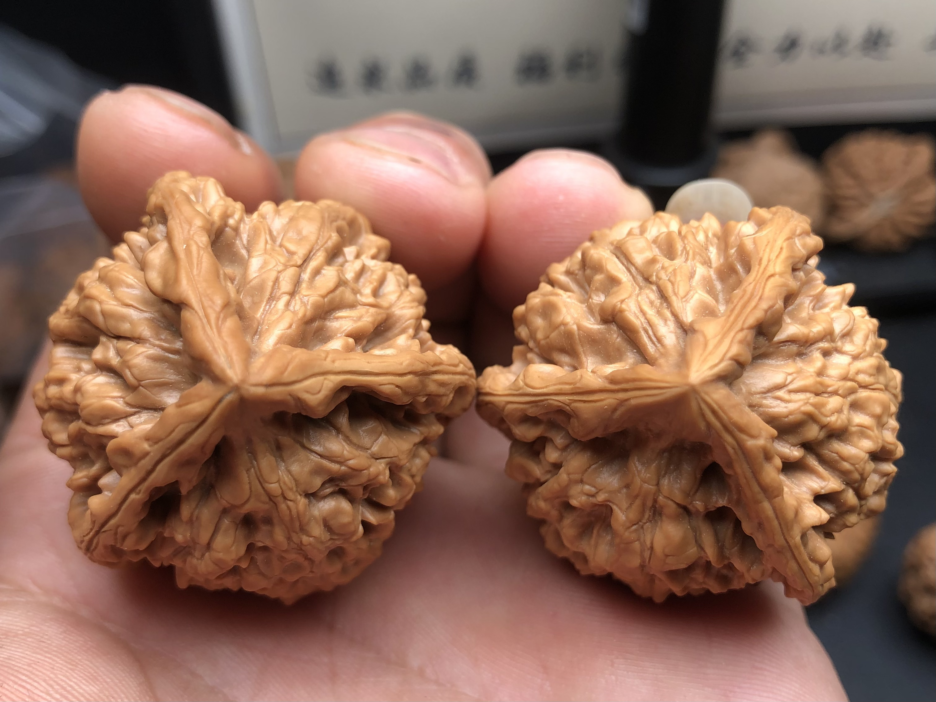 文玩核桃40左右麒麟纹官帽三棱 棱子有修 介意别拍