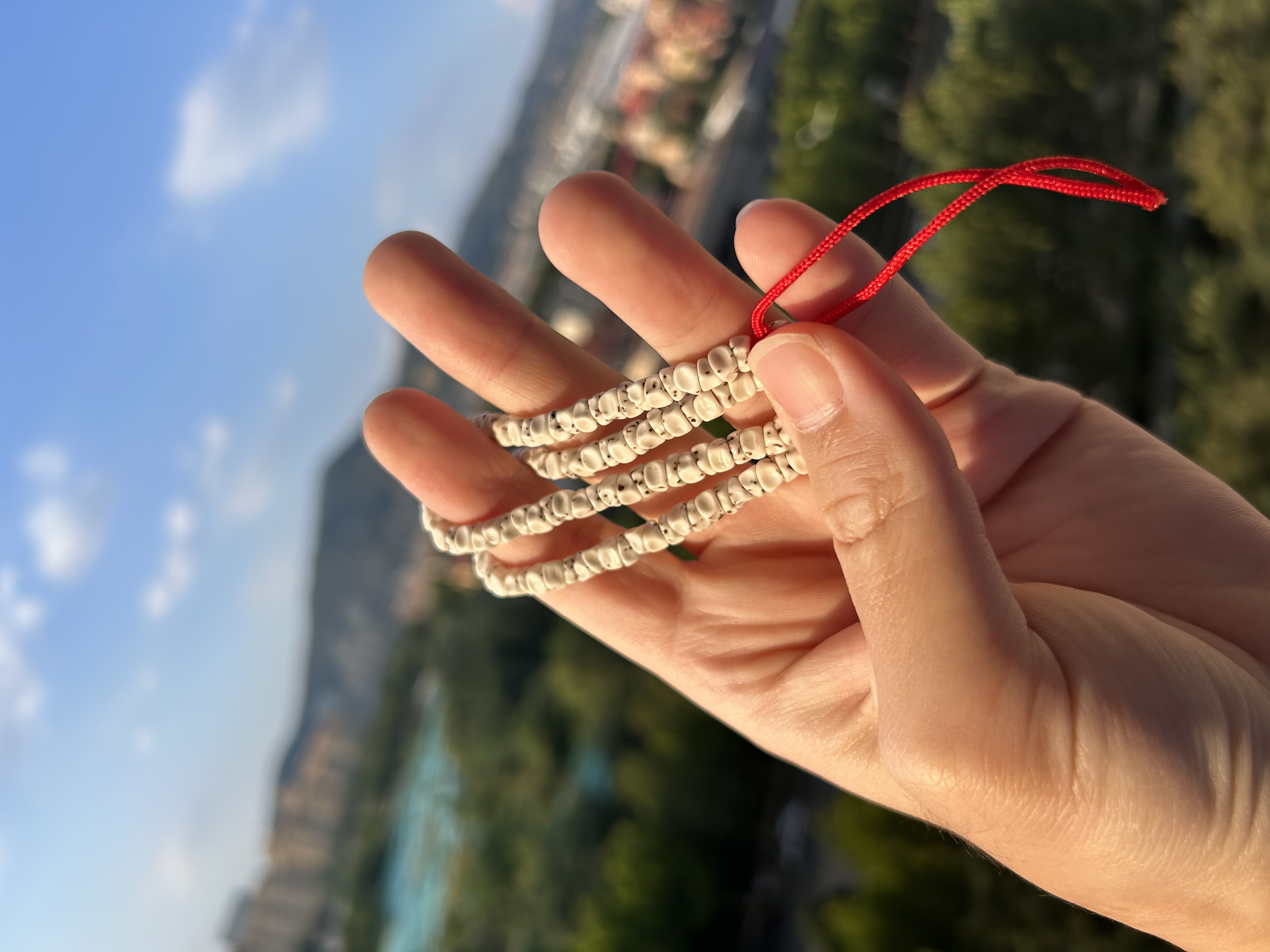 原生态数星星无相大肠6mm星月大肠星月菩提菩提手串