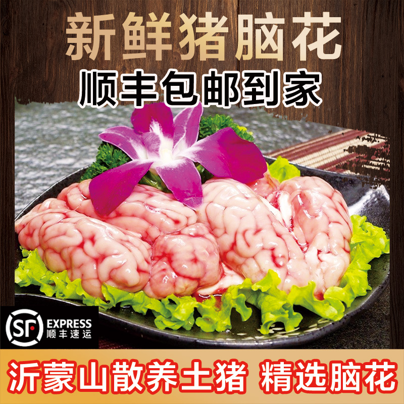 【顺丰包邮】精选新鲜猪脑花农家杂粮喂养土猪猪脑火锅烧烤饭店食材