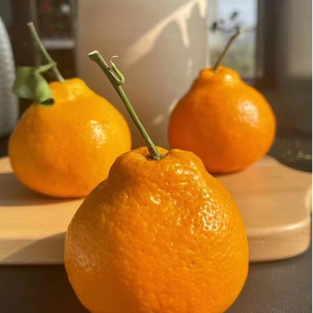 （南康1988水果同城小时达）粑粑柑4斤