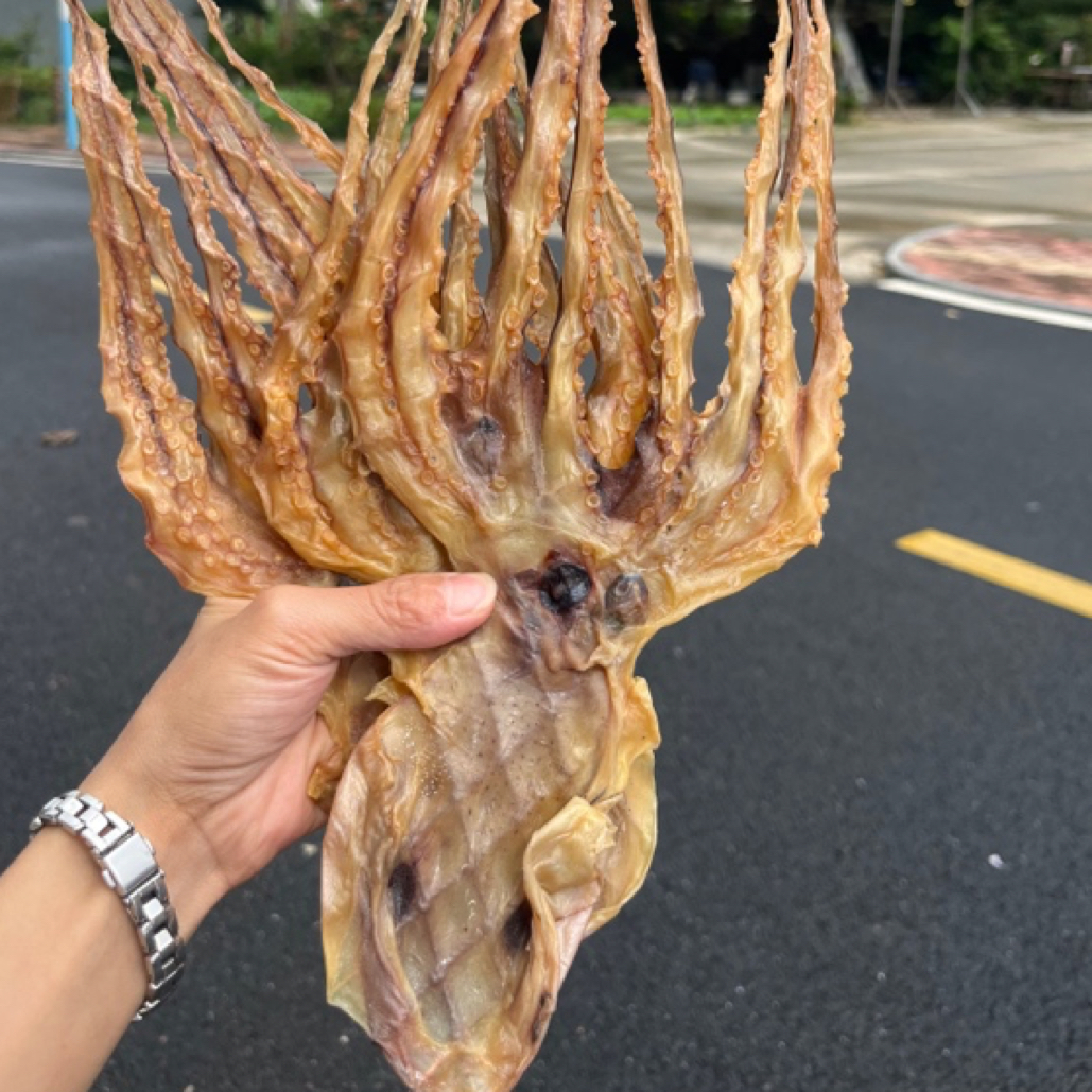 阳江本港 渔民自晒淡晒章鱼干  晒网大八爪鱼500克12只左右