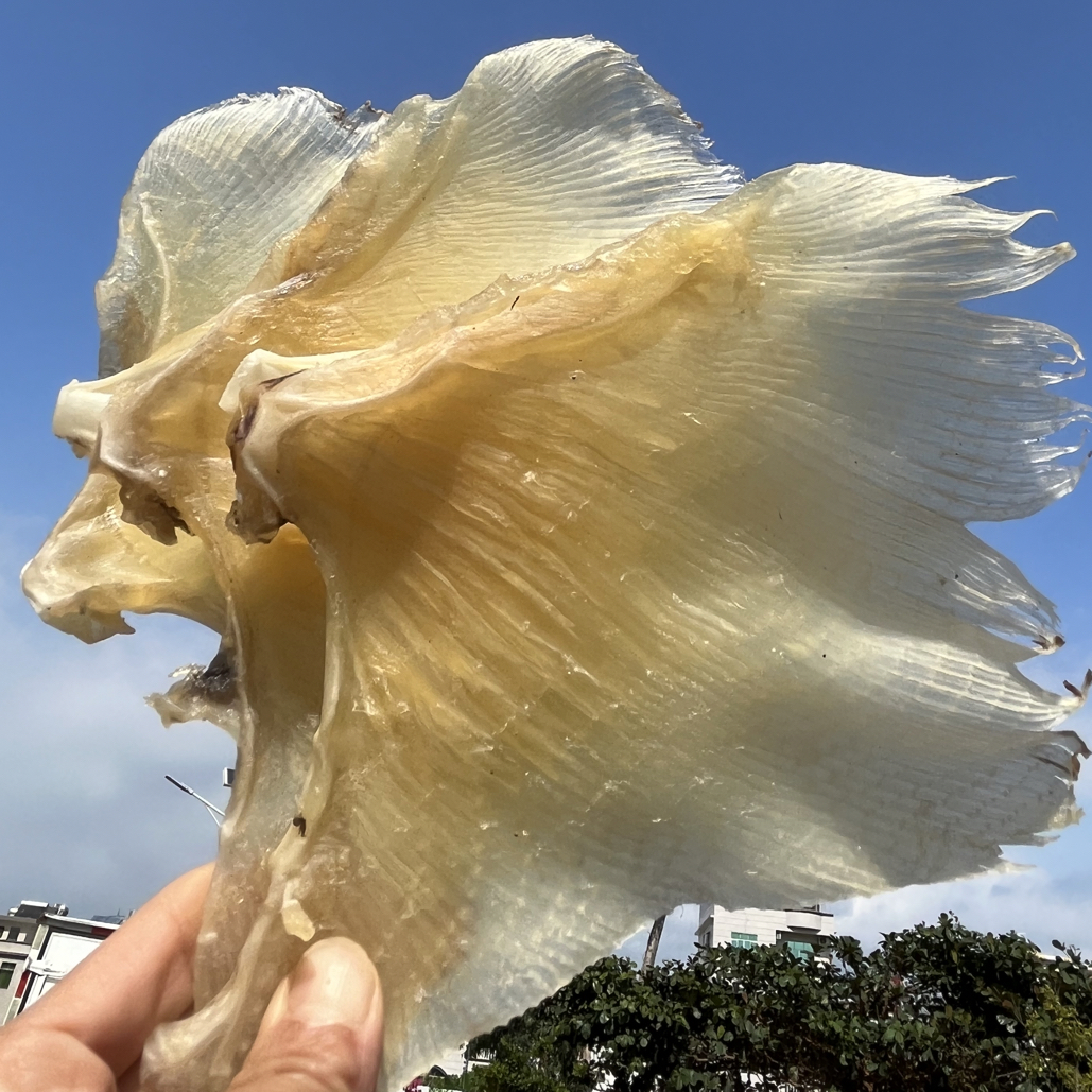 海狗翅 浦鱼刺 海翅干 浦鱼软骨翅肉质新鲜 250克~500克