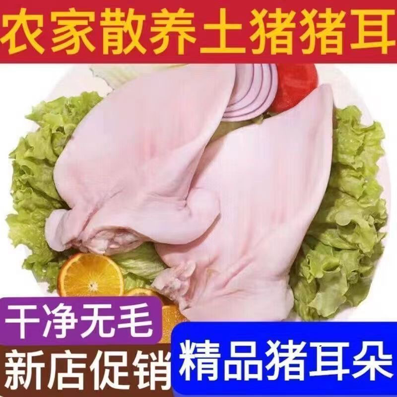 【顺丰包邮】新鲜猪耳朵 土猪猪耳朵 猪耳片 生猪耳卤菜酒店2/4斤