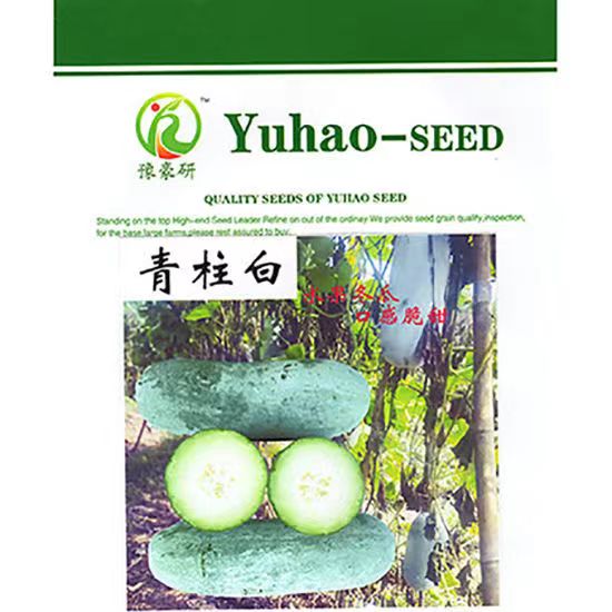 青柱白小瓜型中熟肉色绿口感脆甜小冬瓜种子食用优良水果冬瓜种子