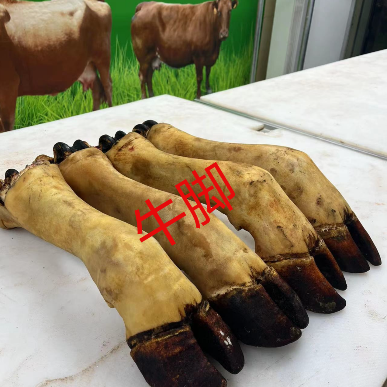 《牛脚》黔牛鲜新鲜现砍土黄牛脚