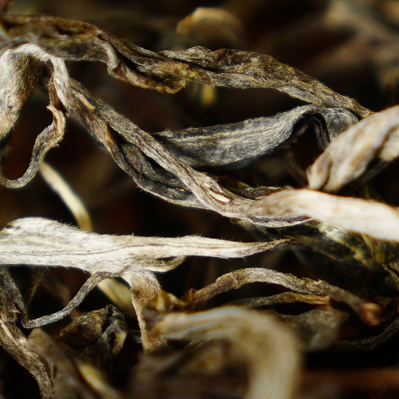 20年春【胡喝1.0】古树生茶龙珠30颗/罐