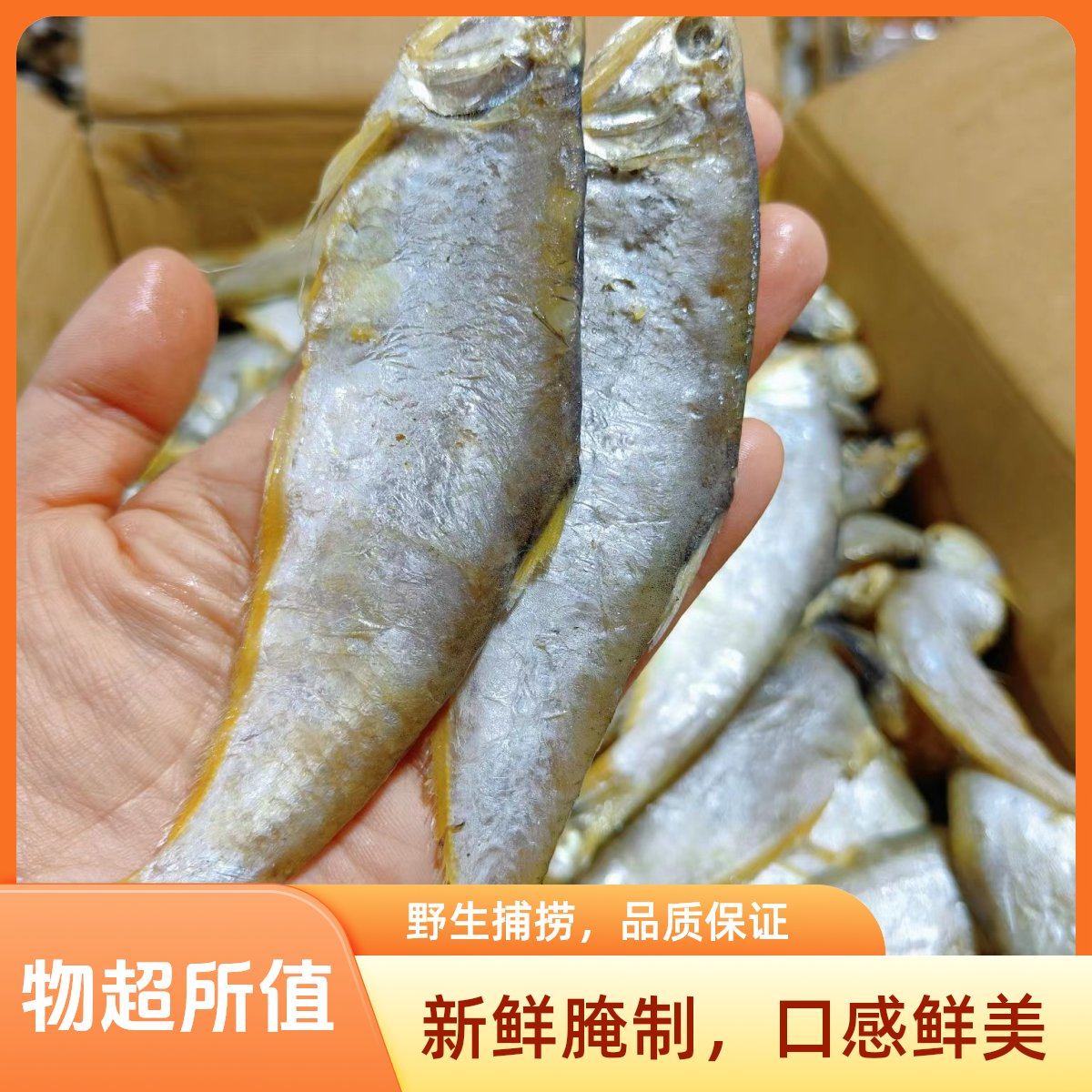 新晒半干油扣鱼马口鱼黄尖子腌制海鲜干货