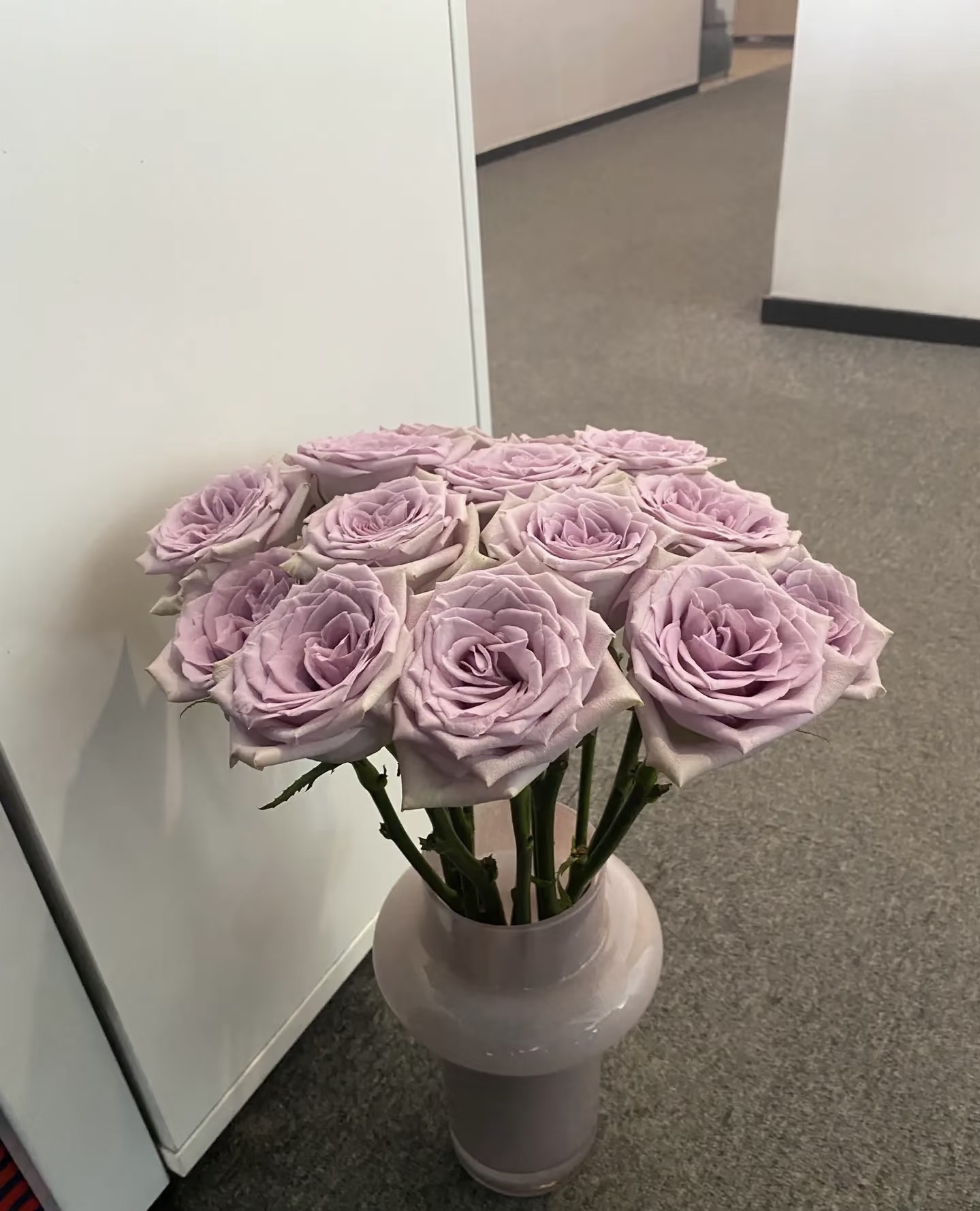 【海洋之心玫瑰】两单升级空运  云南生活鲜切花 基地直发