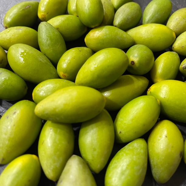 潮汕青橄榄 甜中回甘顺丰包邮 【深圳两点前下单当天送达】