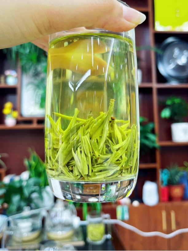 25年新茶【1-9-9嵊州高山茶沙口龙井】高山豆香龙井龙井茶
