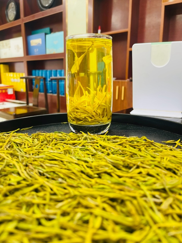 24年新茶【口粮黄金芽】茶香甘甜 浓香耐冲